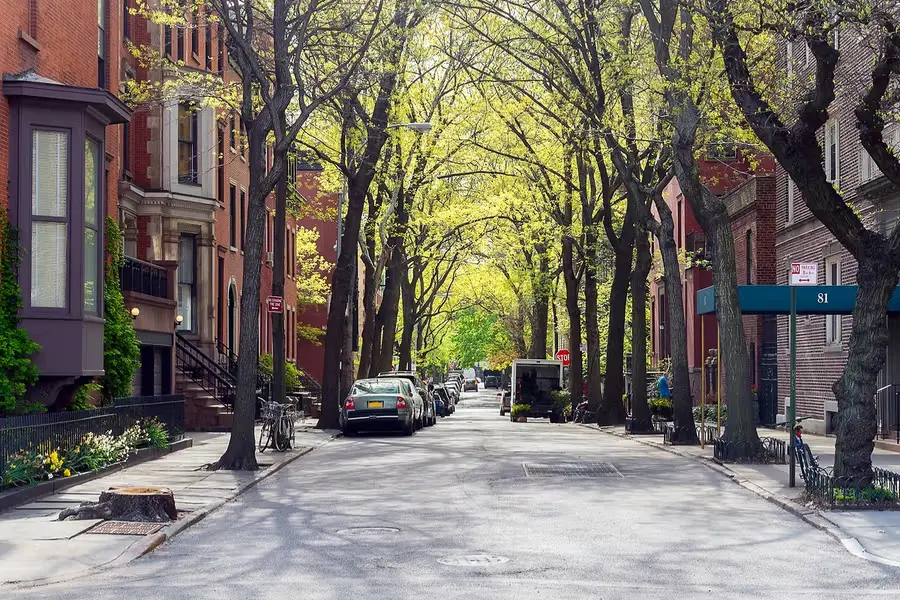 tree-lined Brooklyn brownstone block.